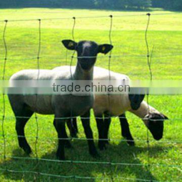 Hot-dipped and Electro-galvanized Agricultural Farm Fence