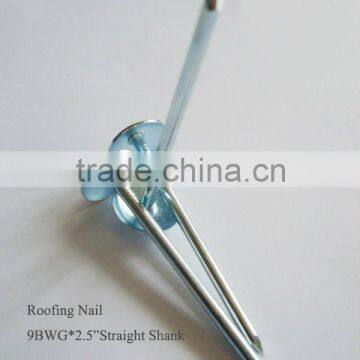 9BWG galvanized plain shank umbrella head roofing nail