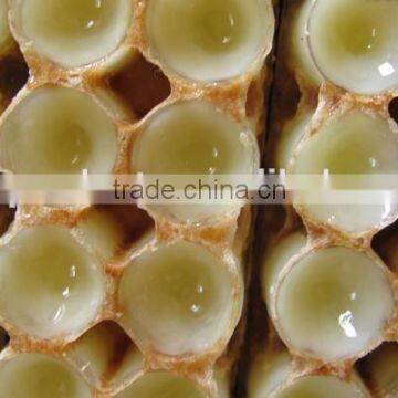 Lower Price Fresh Royal Jelly