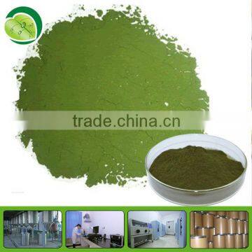 Factory hot sell wheat grass powder