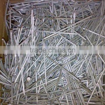 Common Nails With Good Quality