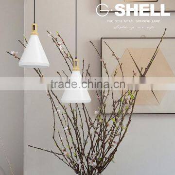 Fashional Metal Aluminium LED Pendant Hanging Lamp