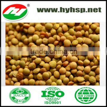 Chinese Green Lentils