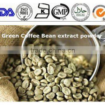 Green coffee bean Extract (50%chlorogenic acid)supplied by LISI Manufacturer