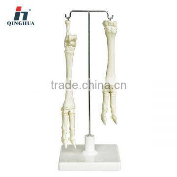 Plastic sheep leg bone