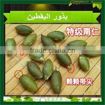 New Crop Hot Chinese Shine Skin Pumpkin Seeds , Benefits of Pumpkin Seed photo-6