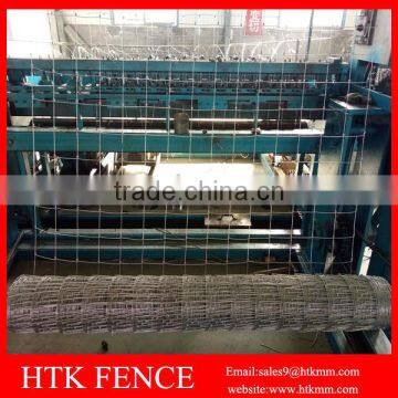 Easy Installation Garden Wire Mesh Fence/Field Fence photo-2