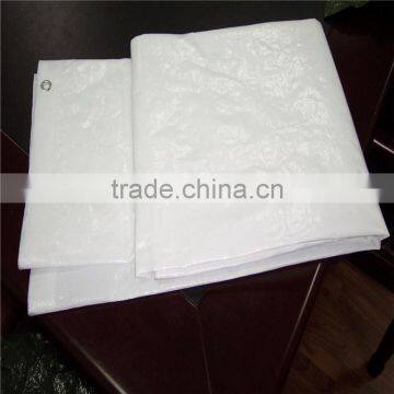 100% Raw Material Tarpulin photo-5