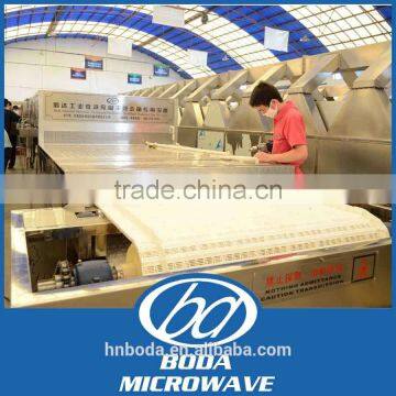 Meeting European Quality Standard Onion Powder Plant Microwave Drying Machine photo-2