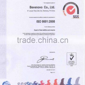 Supply Corn Gluten Powder 65% Protein Golden Corn Color photo-3