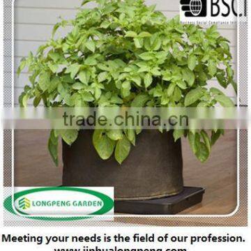 Grow Bags,Vegetable Pots and Planters to Plant Tomatoes, Peppers, Herbs and Potatoes photo-2