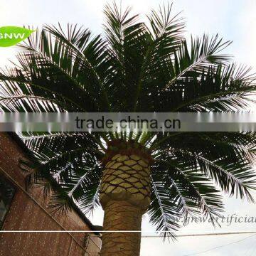 APM030 GNW All Kind of Artificial Palm Tree photo-2