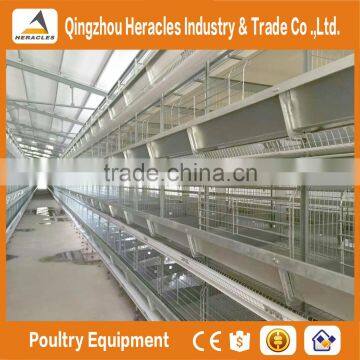 Best Selling Poultry Farming Layer Chicken Cage-H Type 4 or 5 Layers for Egg Chicken photo-2
