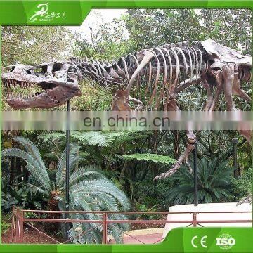 KAWAH Museum Resin Animal Skeleton Animated Realistic 3D Fiberglass Mammoth Fossil For Sale photo-2