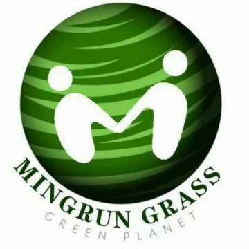 Wenan Mingrun Artificial Turf Co.,Ltd