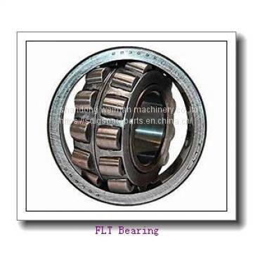 FLT Bearings