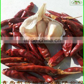 Red peppers 2014/CHILLI CHINA