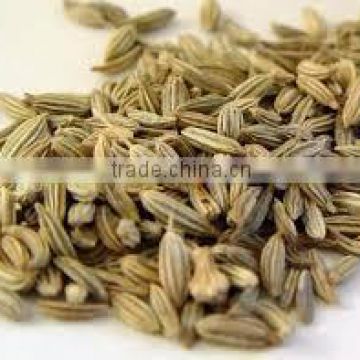 Super Quality Cumin seeds powder for Manufacturer