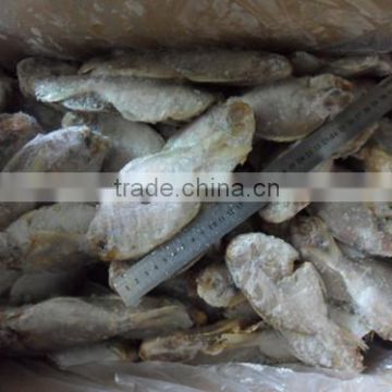 Frozen Whole Round Butterfish 80-100g/pcs B