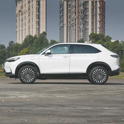 2023 ENS1 SUV Hot Selling Brand New Used Electric Suv Car 150 Km/h 4 Wheel Durable Electric EV Car Long Range 510km 2022 photo-5