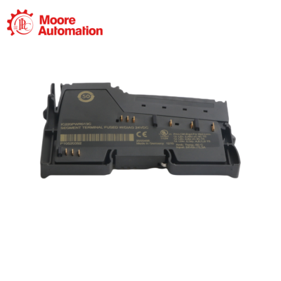 GE IC220PWR013