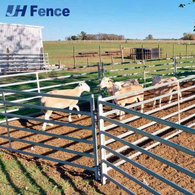 Panel de oveja sólido de fácil limpieza: Superficie no porosa y sanitaria que permite una desinfección sencilla y un lavado a presión