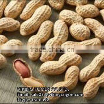 GROUNDNUTS/PEANUTS KERNELS_VIETNAM_BEST PRICE_GOOD QUALITY