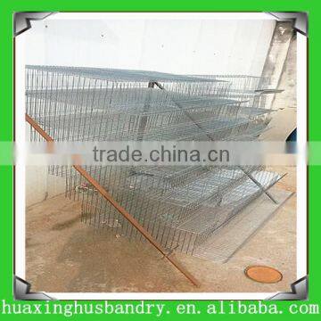 china new design best selling automatic quail cages for kenya