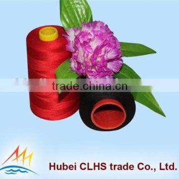 Factory Wholesale High Quality 40S/2 Polyester Sewing Thread photo-3