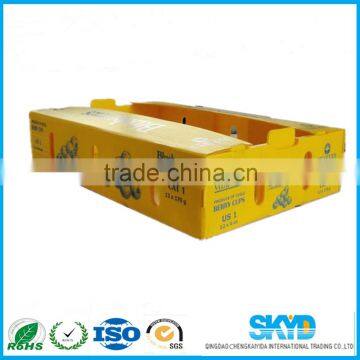 pp Type Fresh Fruit Corrugated Plastic Shipping Boxes