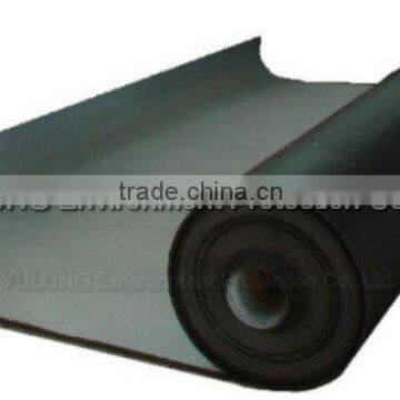 Geomembrane HDPE for water treatment project