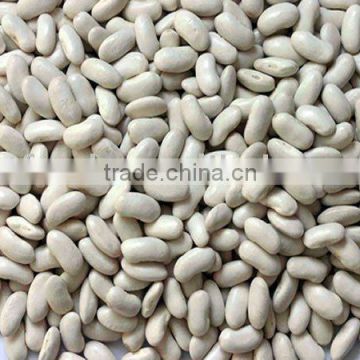 white kidney beans