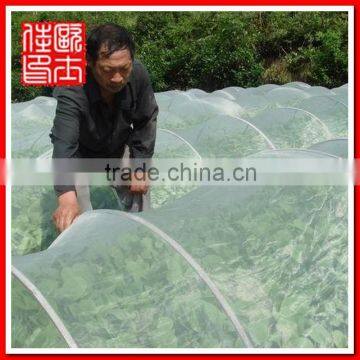 China Wire Mesh Town insect mesh screen for greenhouse projection
