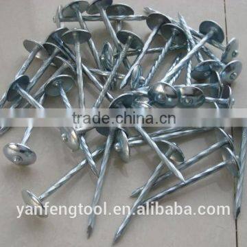 Hot Sale Umbrella Head Roofing Nails From Direct Factory photo-1