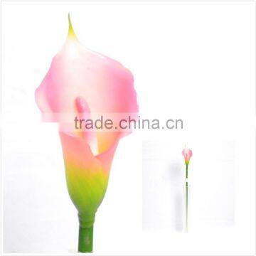 Calla Lily for Home Decor, Pink