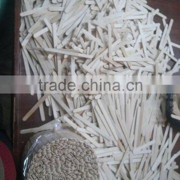 BIRCHWOOD ICE CREAM STICKS photo-4