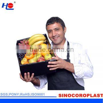 PP Coroplast Fruit Packing Box