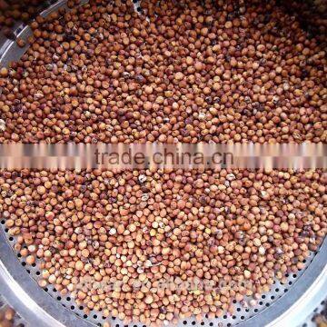 Red Sorghum With Good Manufacturer