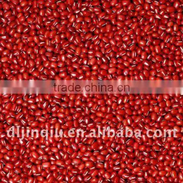 Adzuki bean 2013 crop