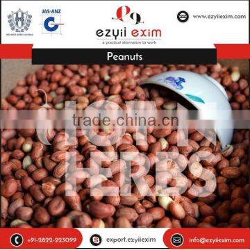 Optimum Quality Organic Jumbo Peanuts at Unbelievable Price