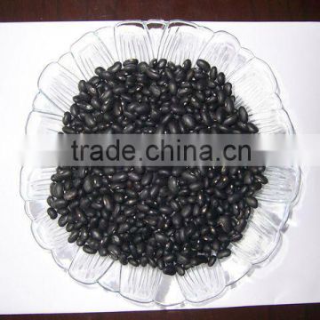 Small Black Bean-South American market