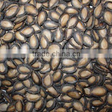 different kinds of delicious melon seeds and bulk