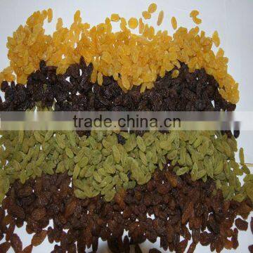 Kinds of raisins high quality with kosher