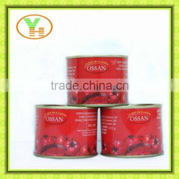 supply 70g-4500g canned tomato ketchup for the world