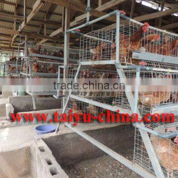 TAIYU cages for day old chick