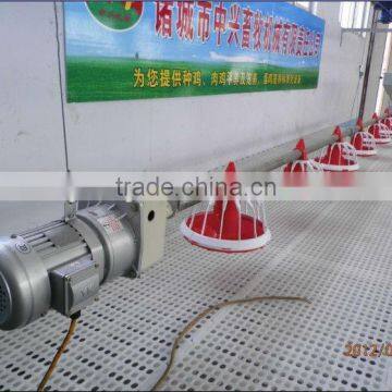 feed system for broiler