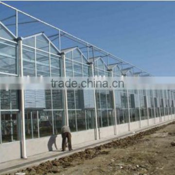 Large size commercial glass greenhouse for sale