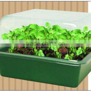 Garden nursery planting flower pots