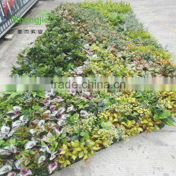 SJLJ013766 China Supplier Direct Selling Artificial Vertical Green Wall With Artificial Plant photo-3