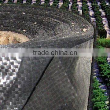 Breathable Non Woven Fabric Price Ground Cover Cloth photo-4